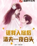 送我入獄後，渣夫一夜白頭